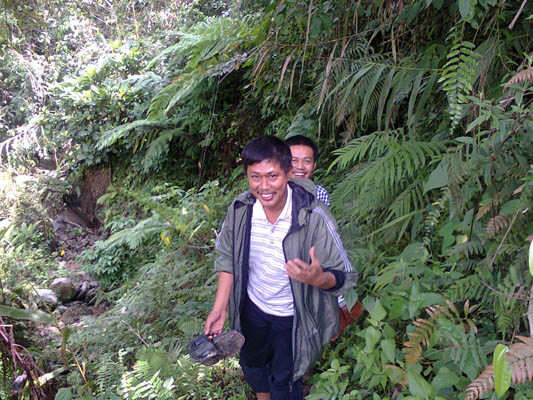 img-content
