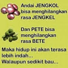 img-content