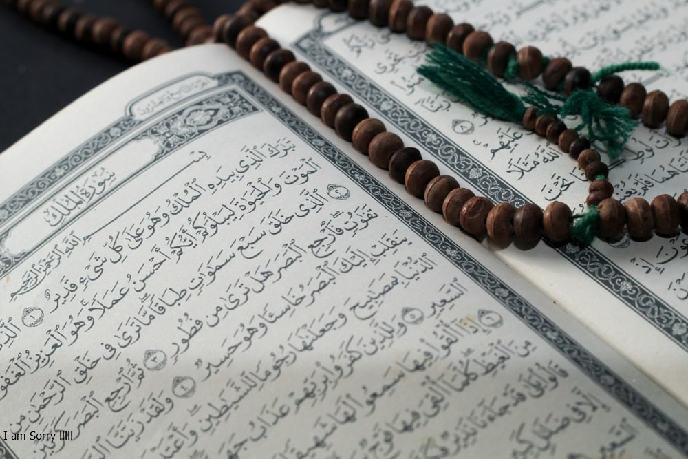 img-content