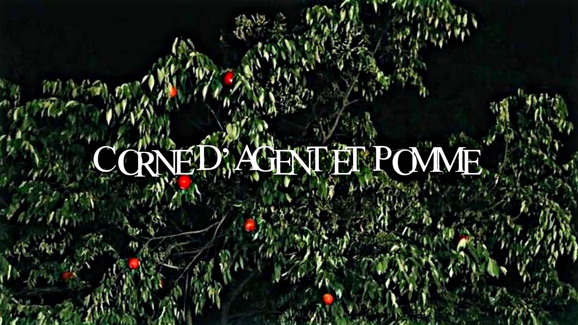 img-content