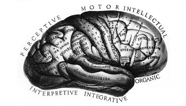 img-content
