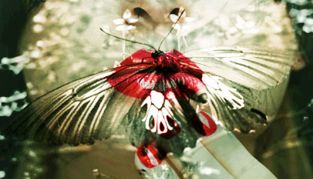 img-content
