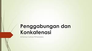 img-content